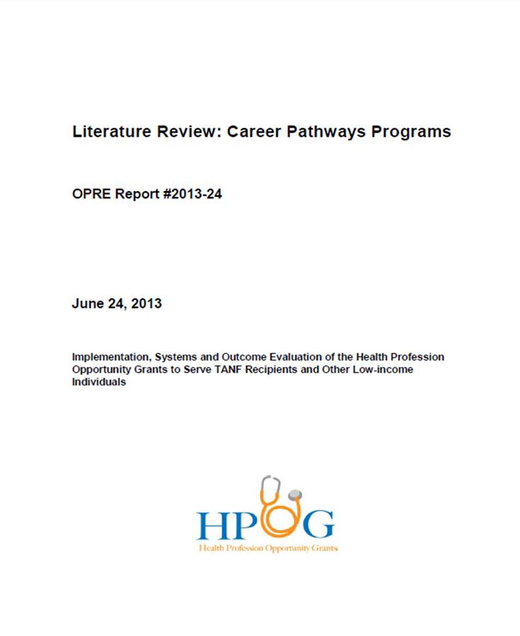 literature review career management